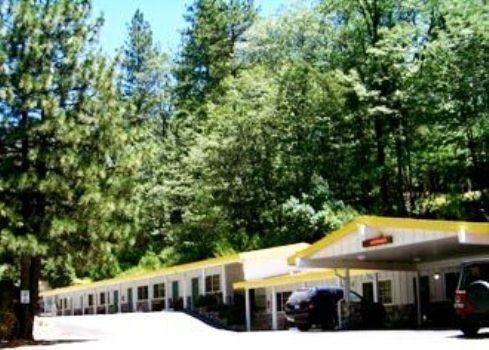 Golden Chain Motel Grass Valley Ngoại thất bức ảnh